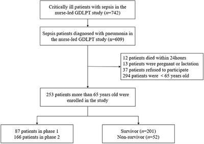 Implementation of Nurse-Led, Goal-Directed Lung Physiotherapy for Older Patients With Sepsis and Pneumonia in the ICU